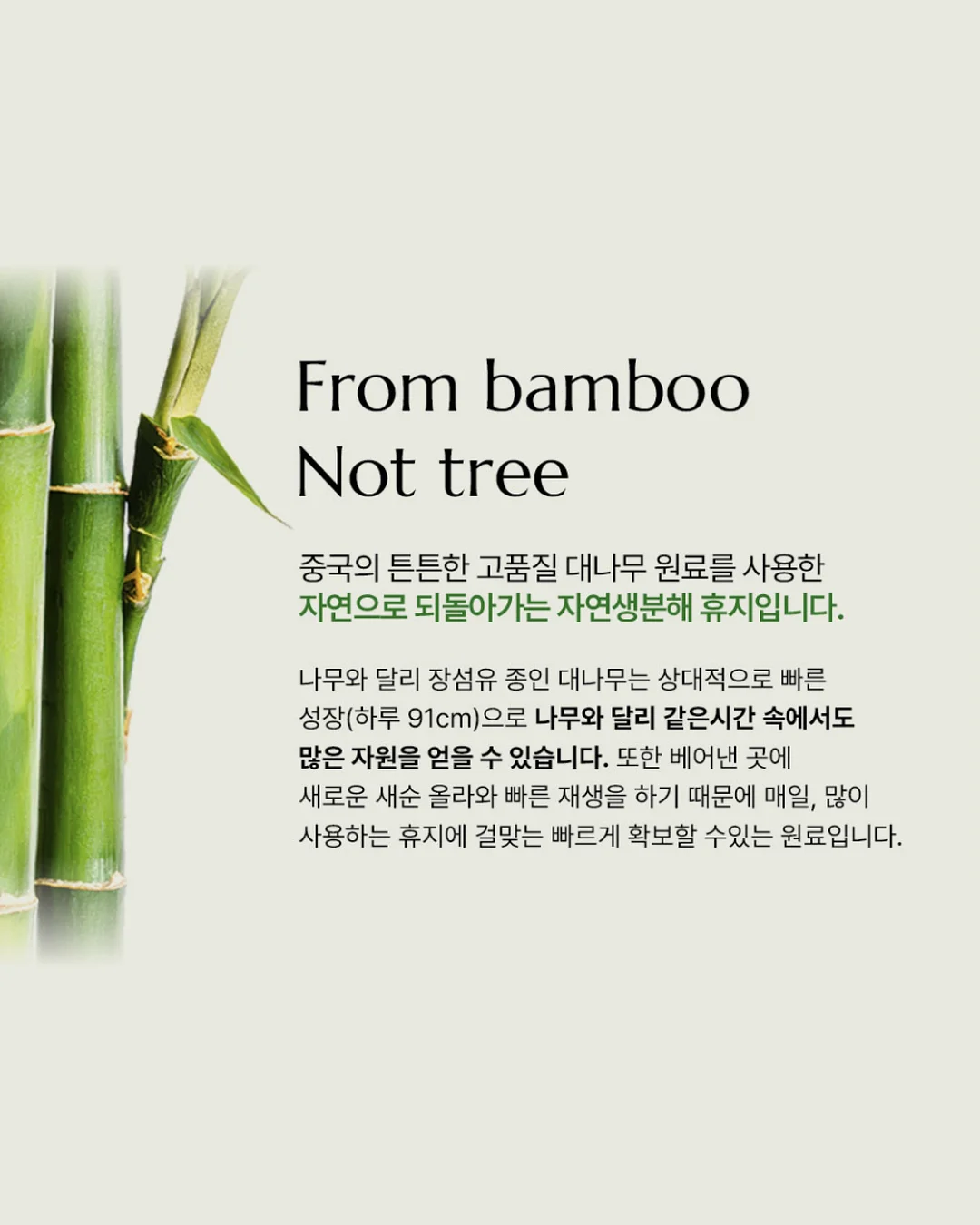 앙투어솔레 치즈 7