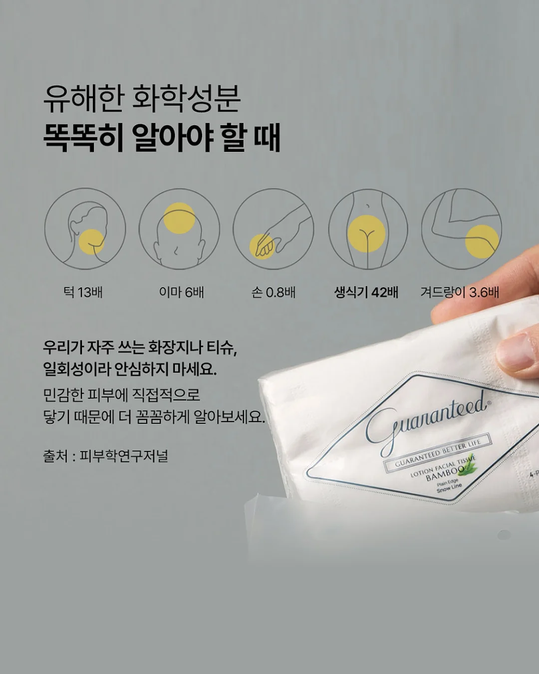 앙투어솔레 치즈 8