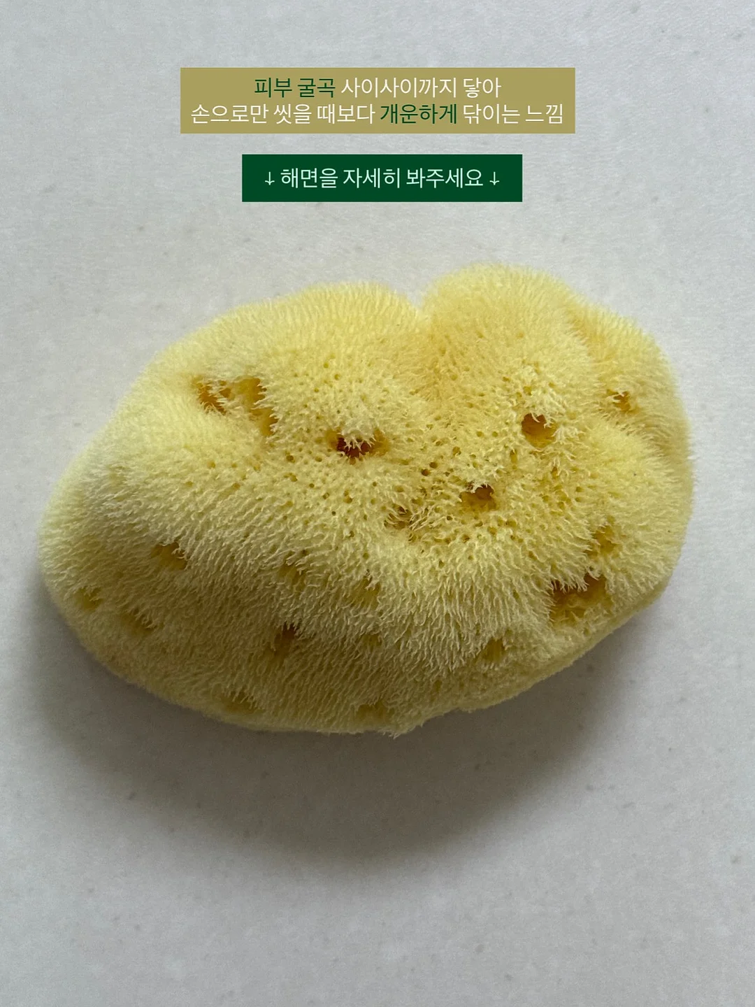 시나아카데미 정규피부창업반 3