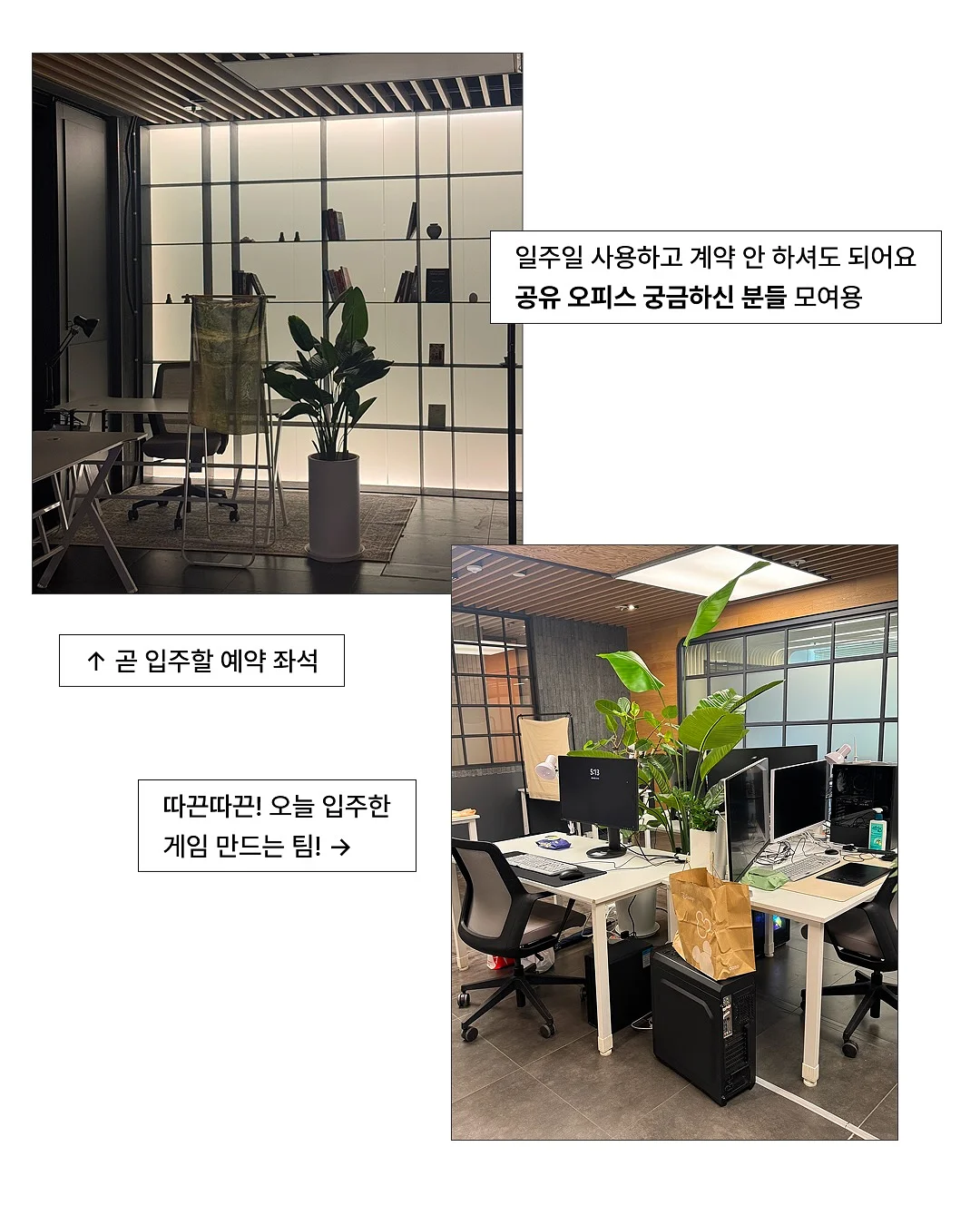 앞머리 커터 5