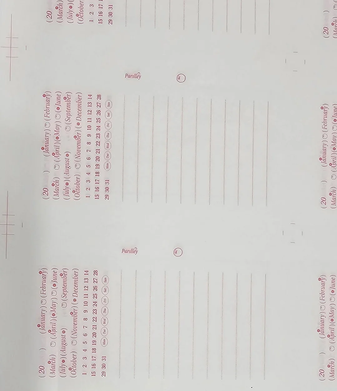 커비 파우치 1