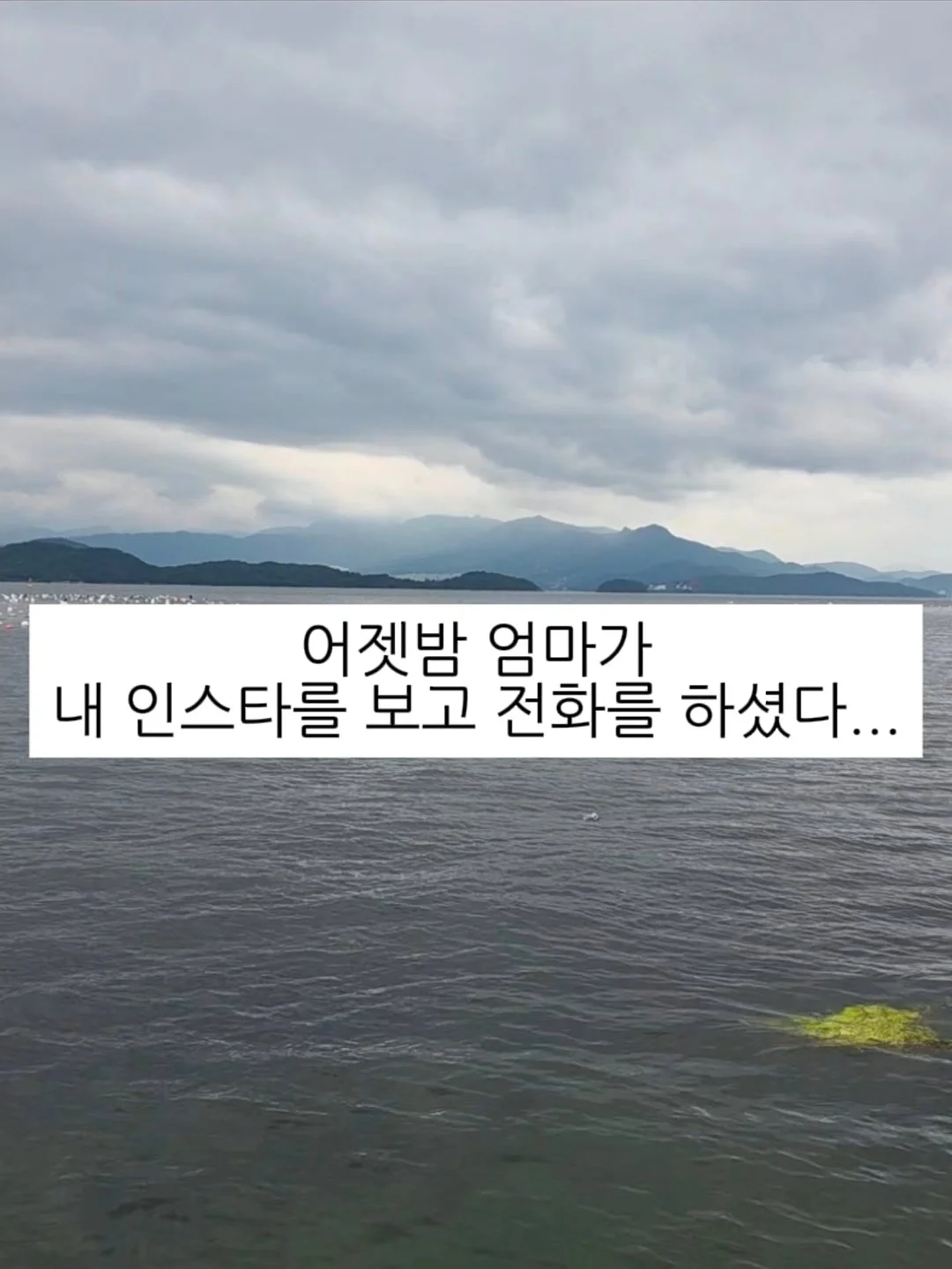 세금 환급금 신청 1