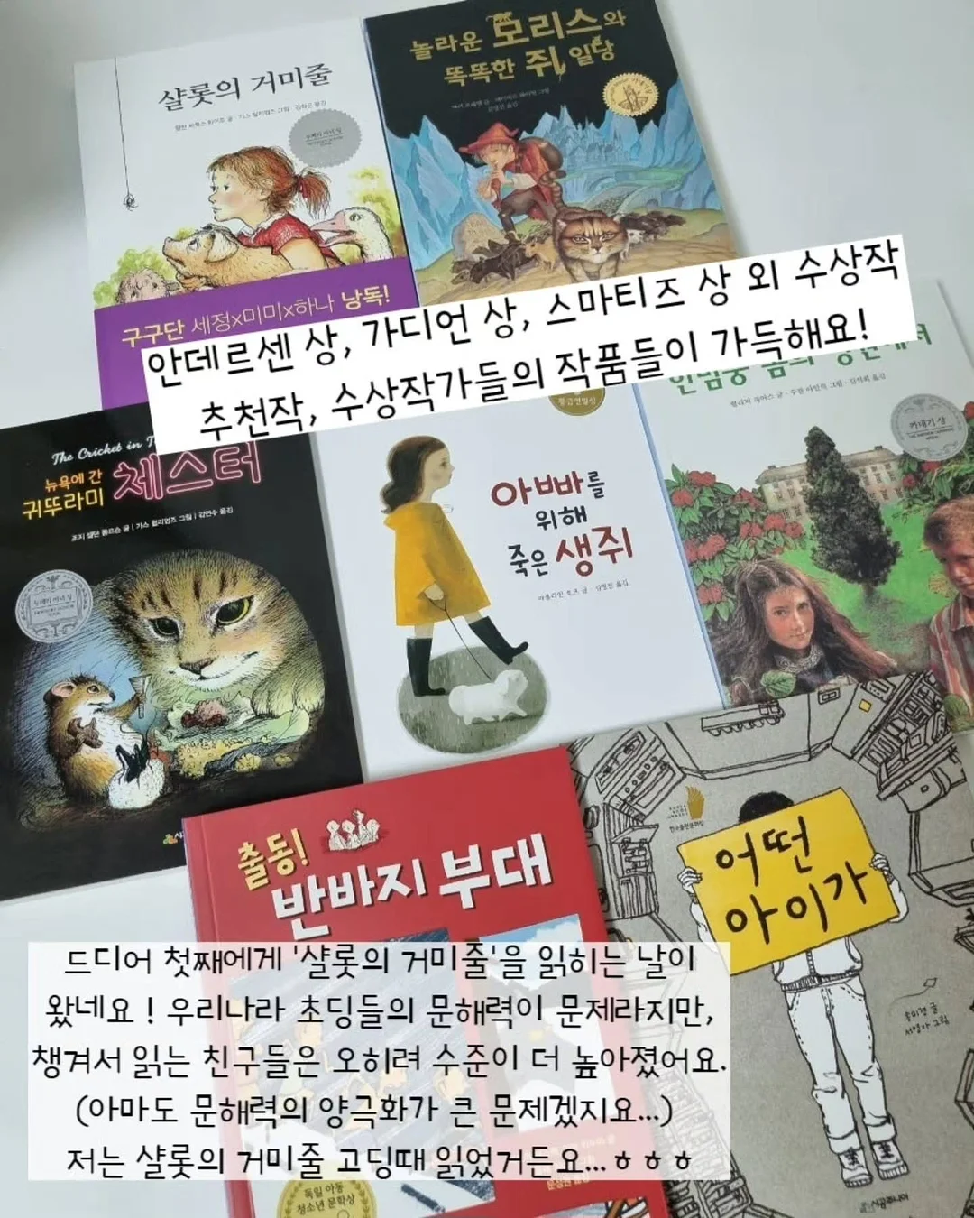 모자 12