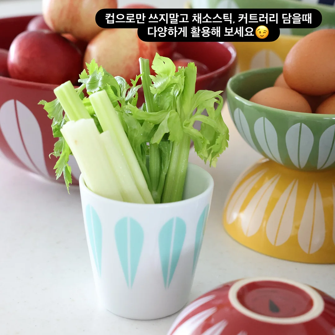 독일 11
