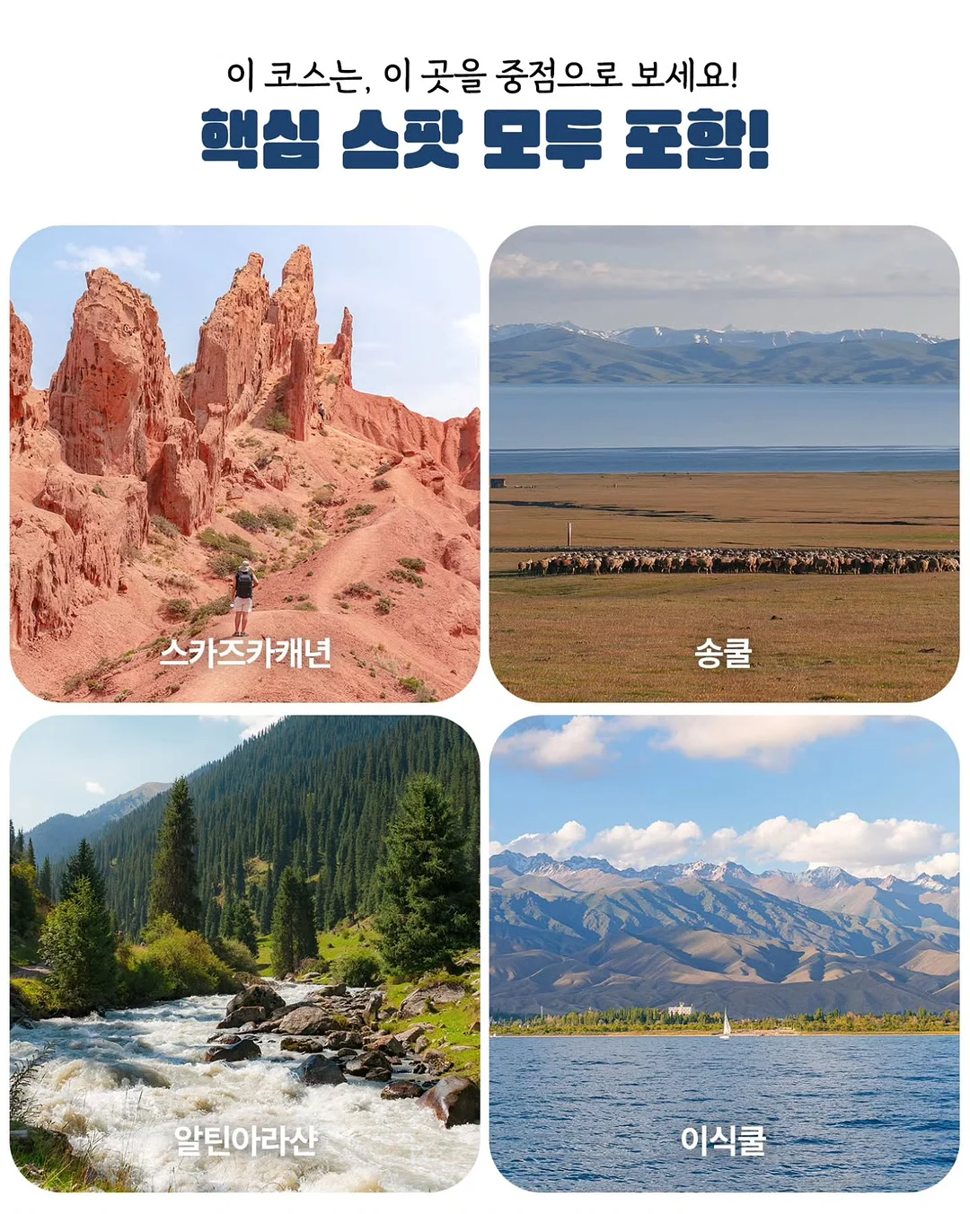 퍼퓸스커트 셋업 4