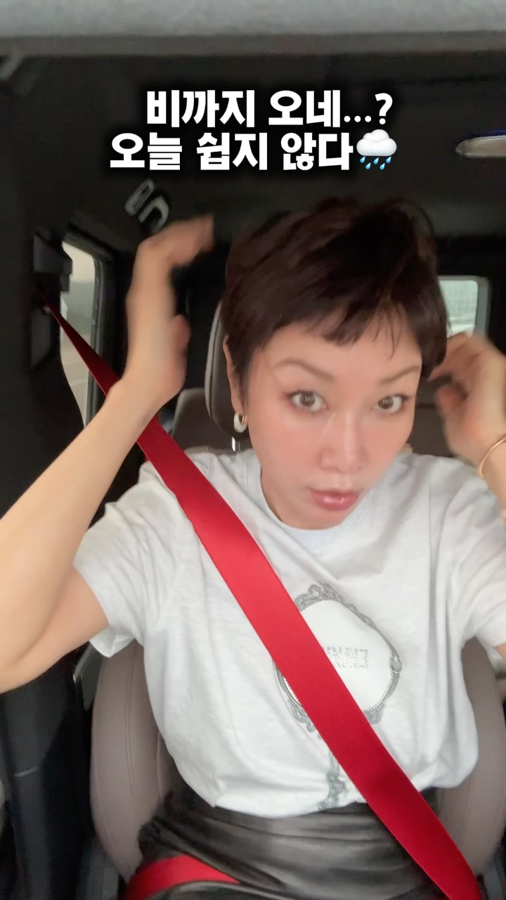 칸투치스튜디오 개미티