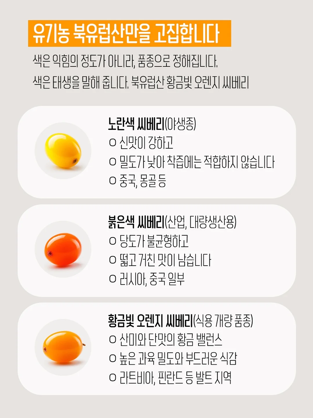 오픈 하트 잔스 14