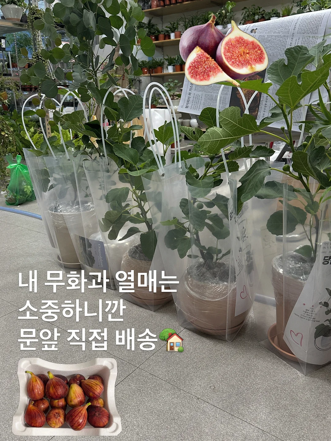 미모서울 컬러 포인트 도마 1