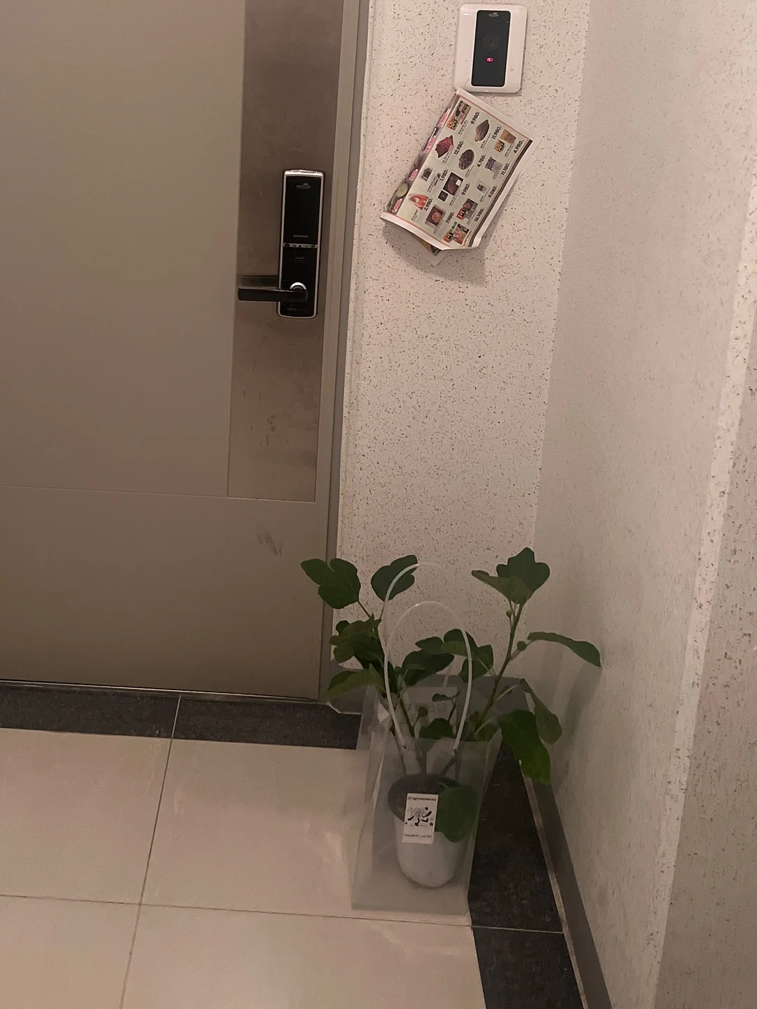 미모서울 컬러 포인트 도마 11