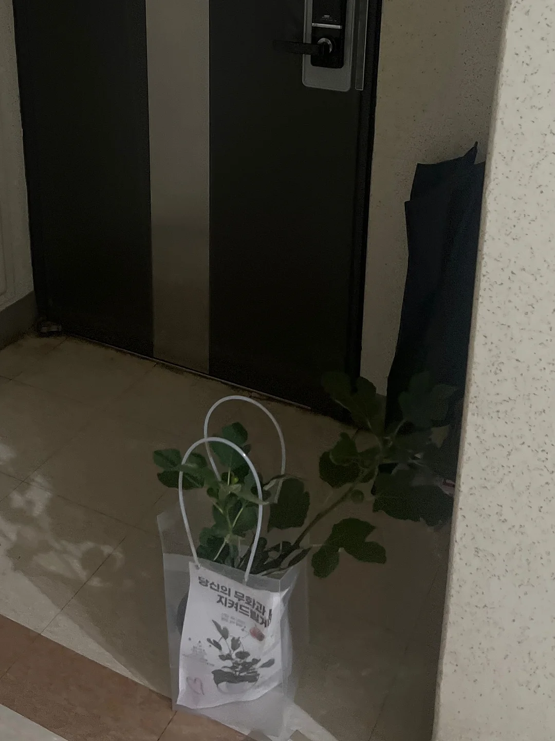 미모서울 컬러 포인트 도마 12
