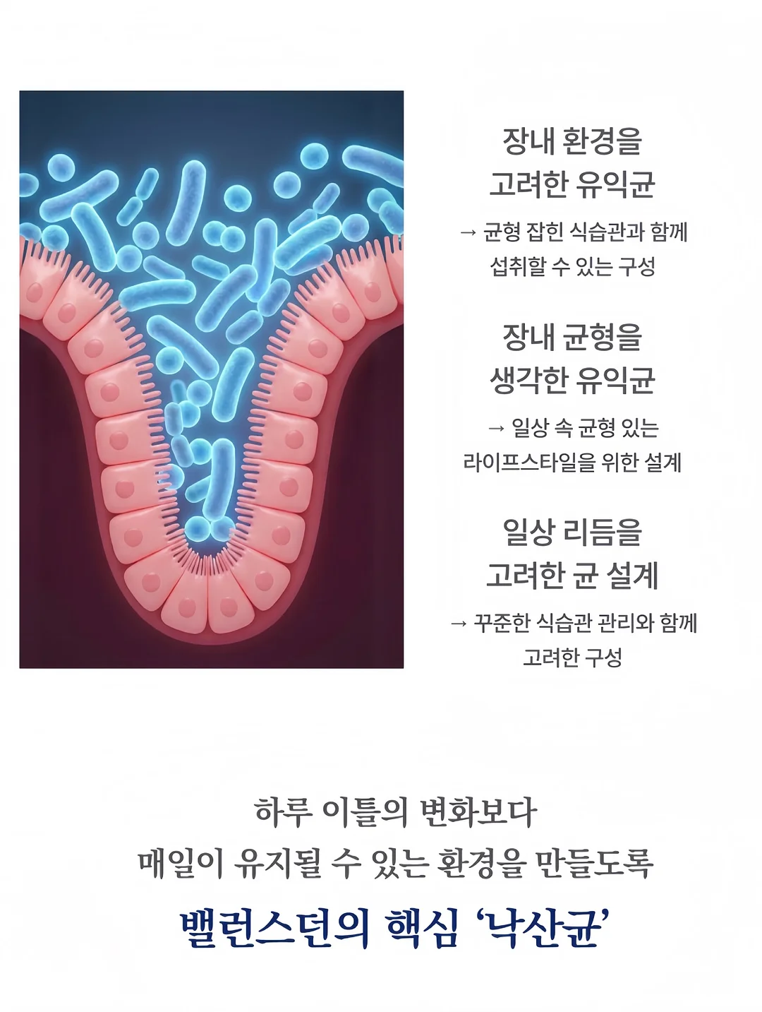 망고스틴 생과일 11