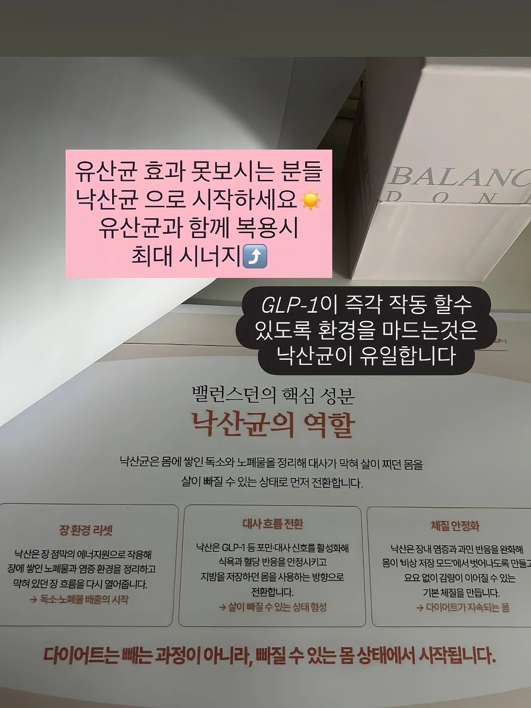 망고스틴 생과일 4