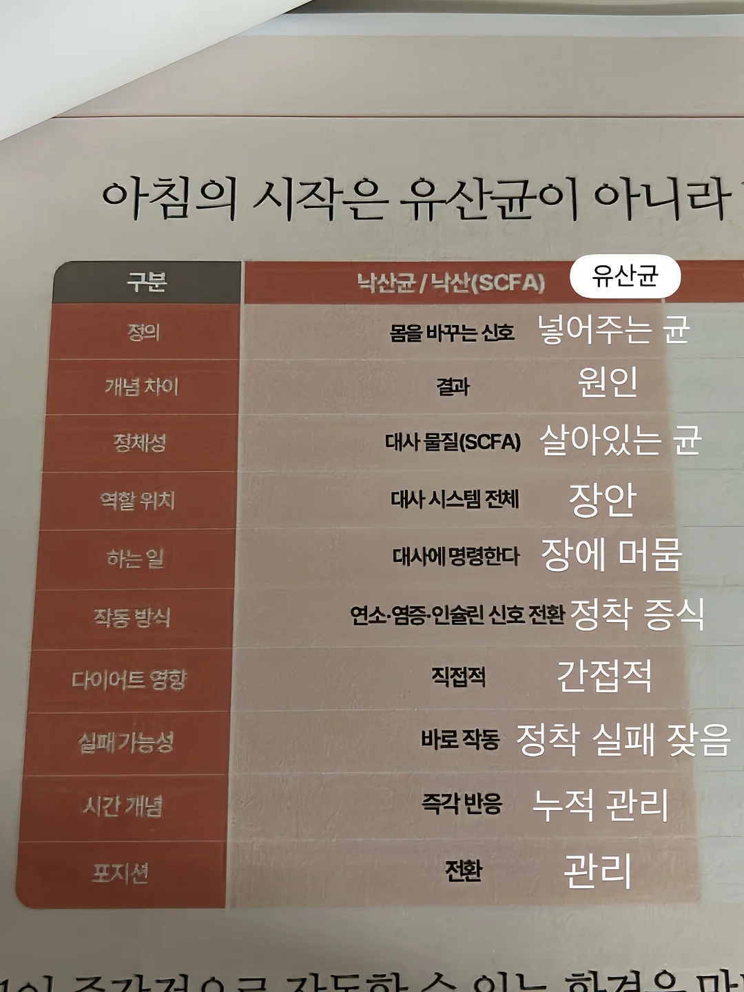망고스틴 생과일 5