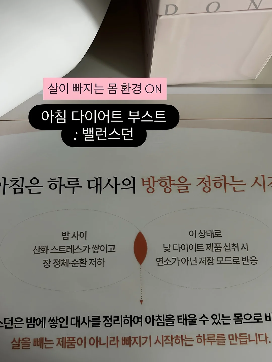 망고스틴 생과일 6