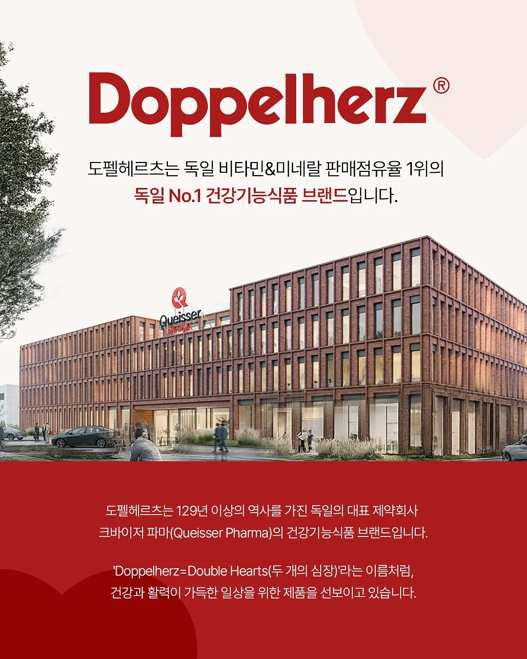 드래곤백 1