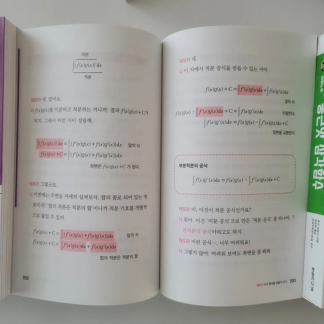피케 롱 원피스 5