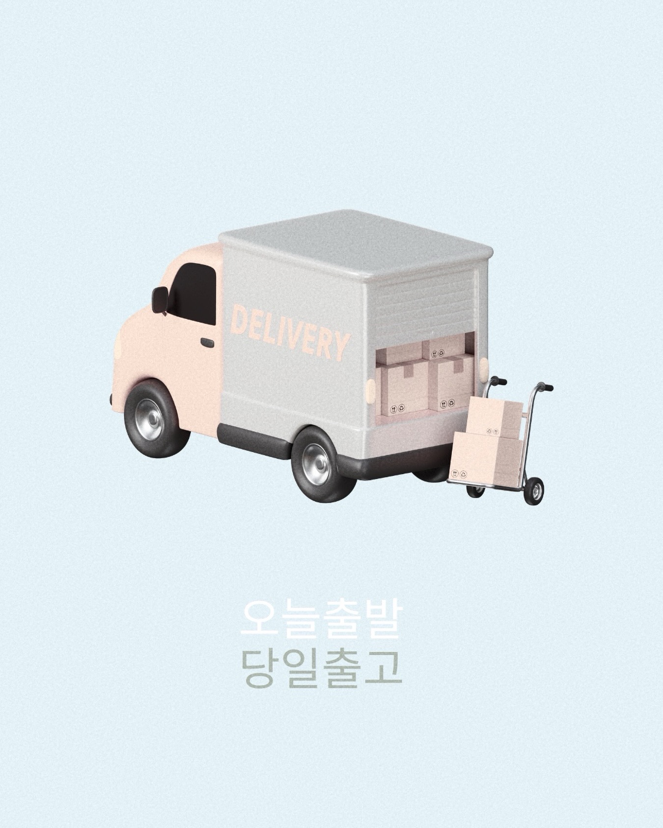 라이놀 세트