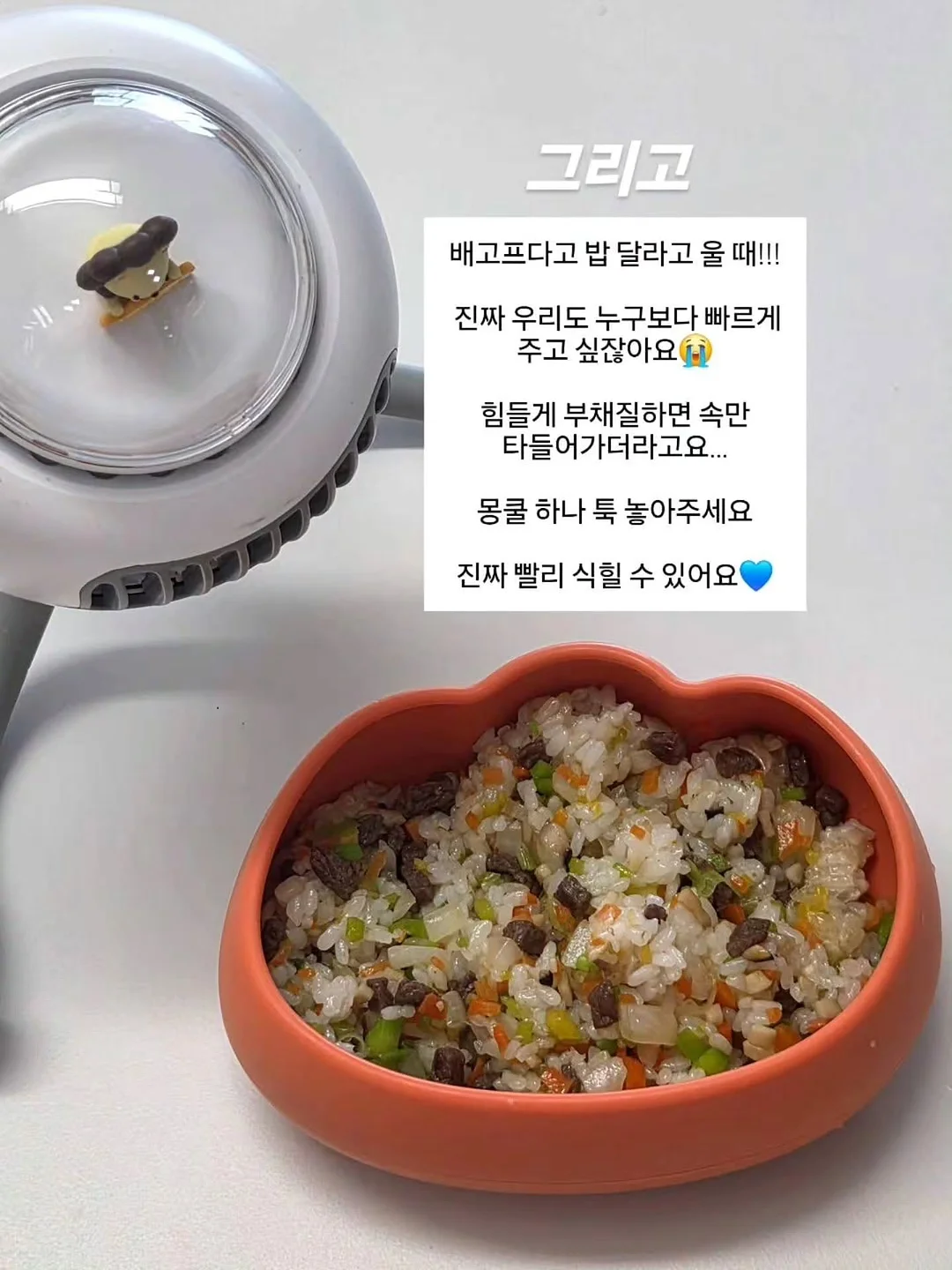 능이 삼계탕 13