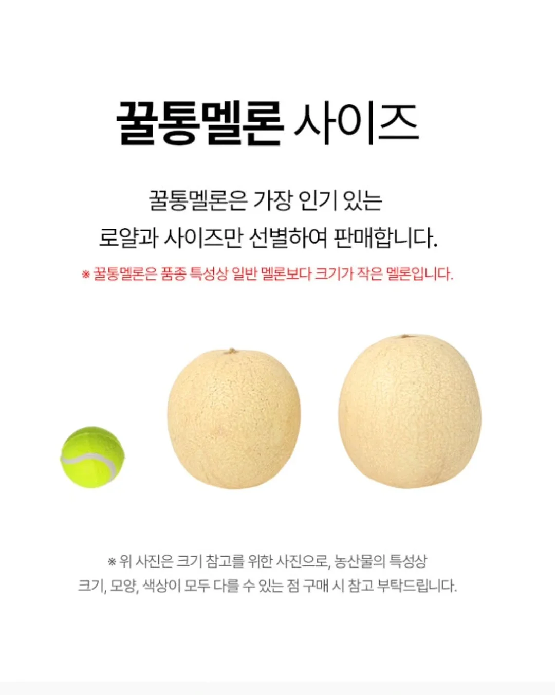 그루 컨셉 13