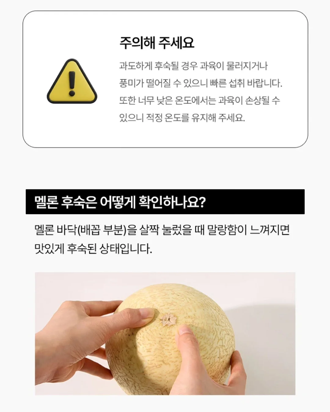 그루 컨셉 15