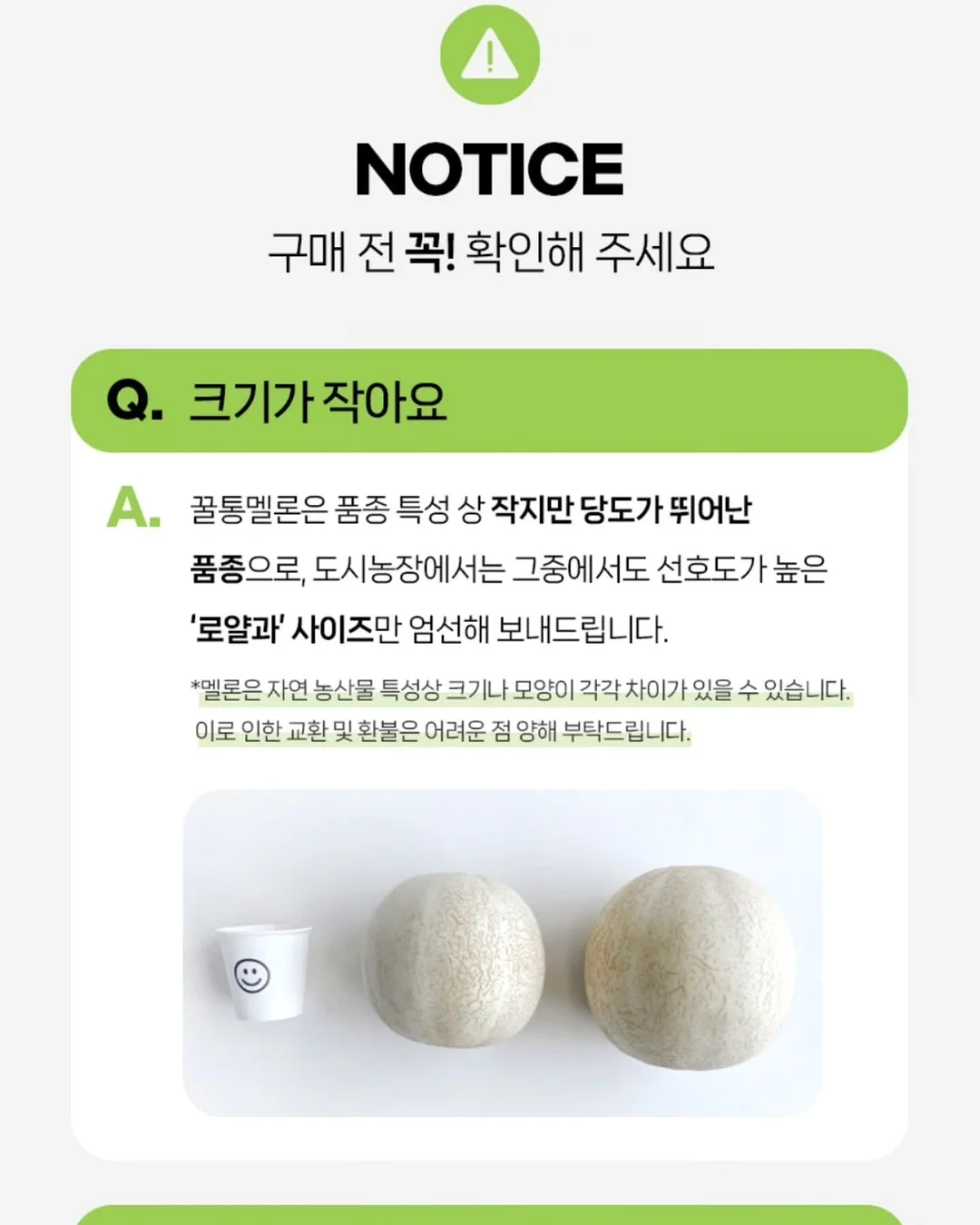 그루 컨셉 17
