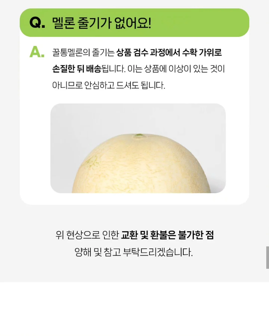 그루 컨셉 18