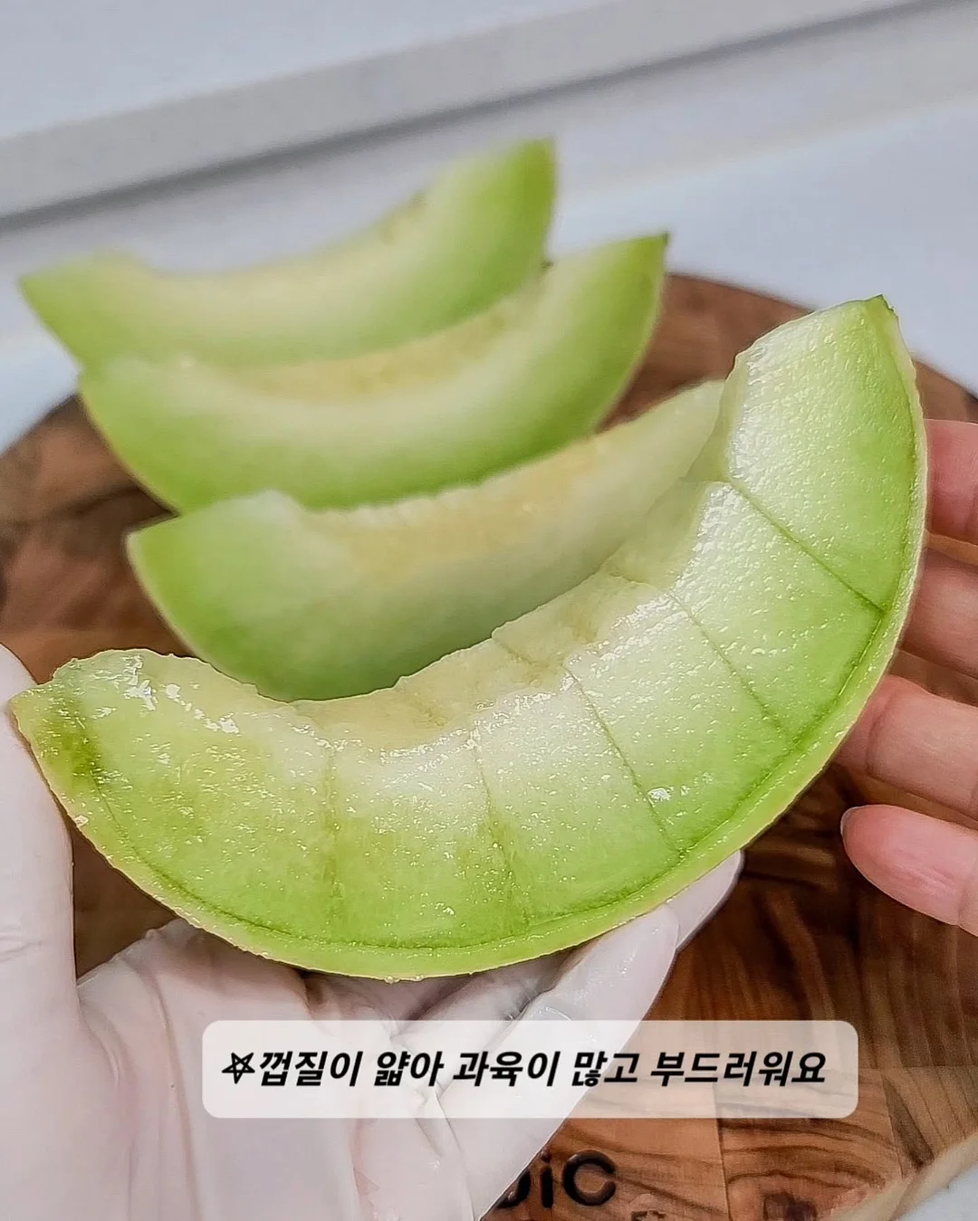 그루 컨셉 3