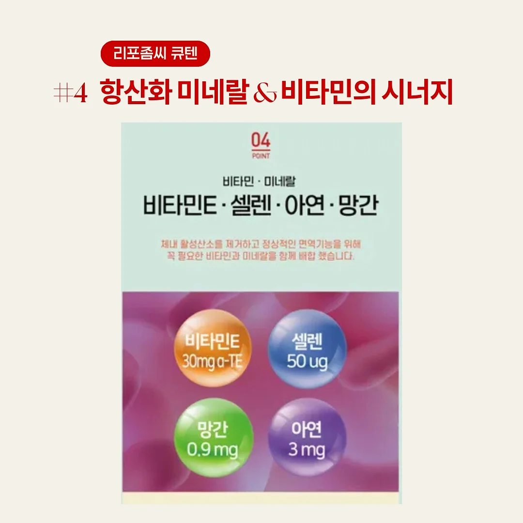 코모두 썸머 베이비 세트 5
