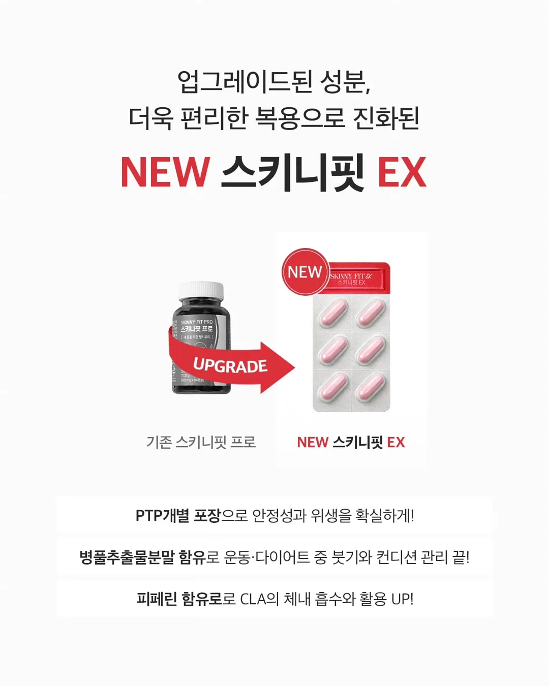 봉봉지오 11