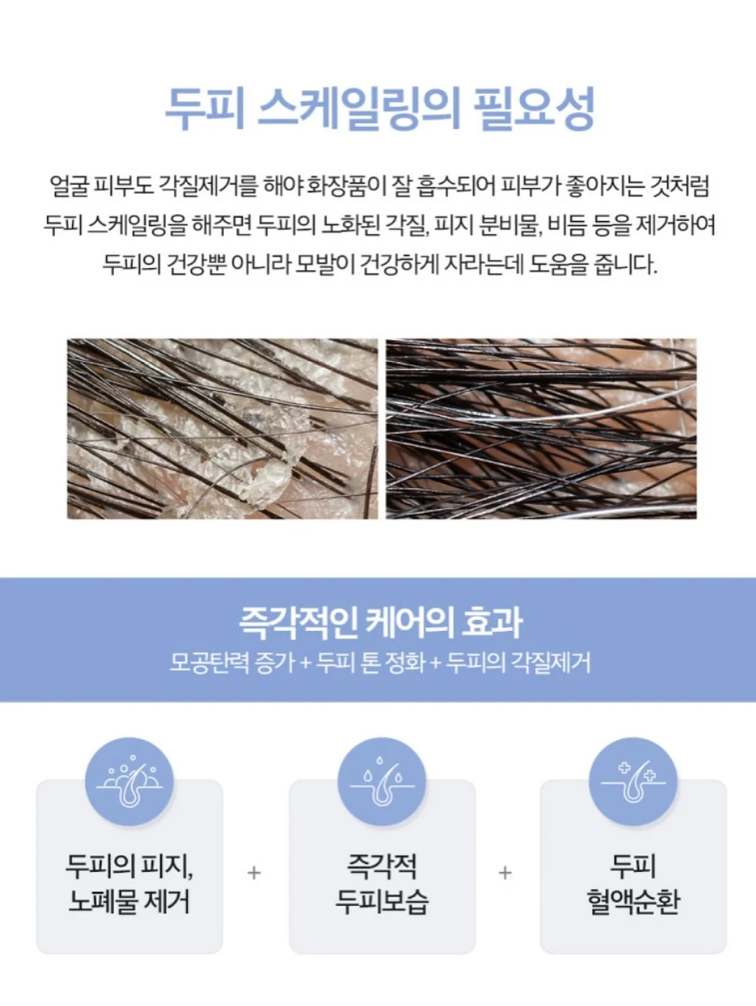 요니팜스 빙체리 4