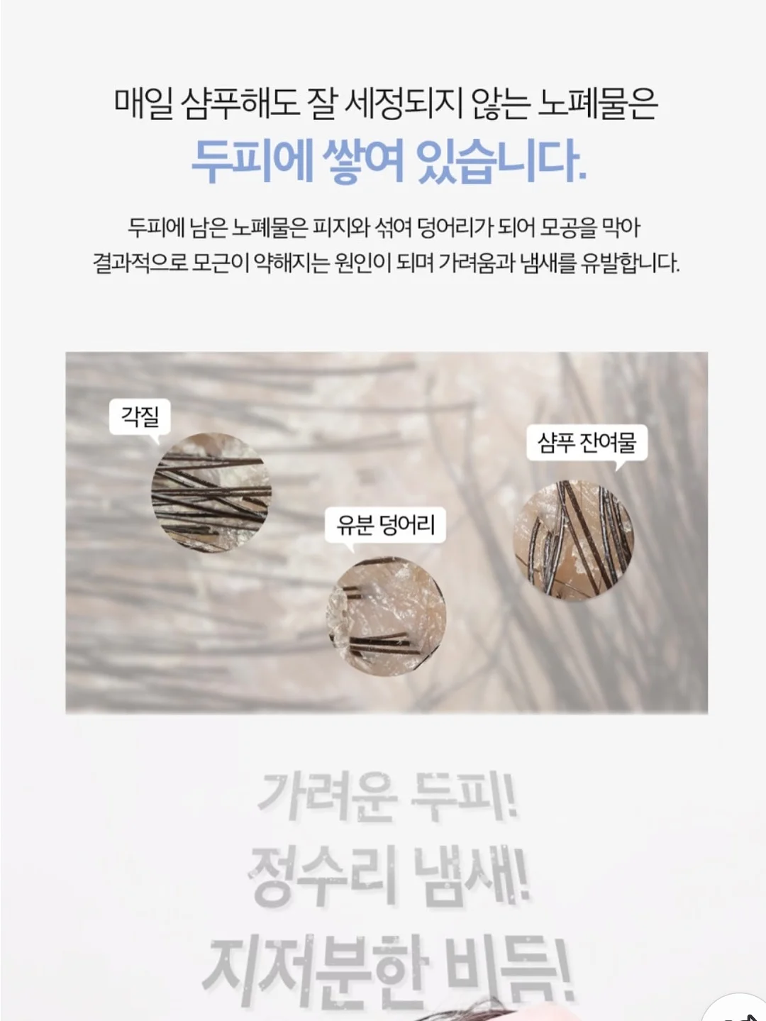 요니팜스 빙체리 5