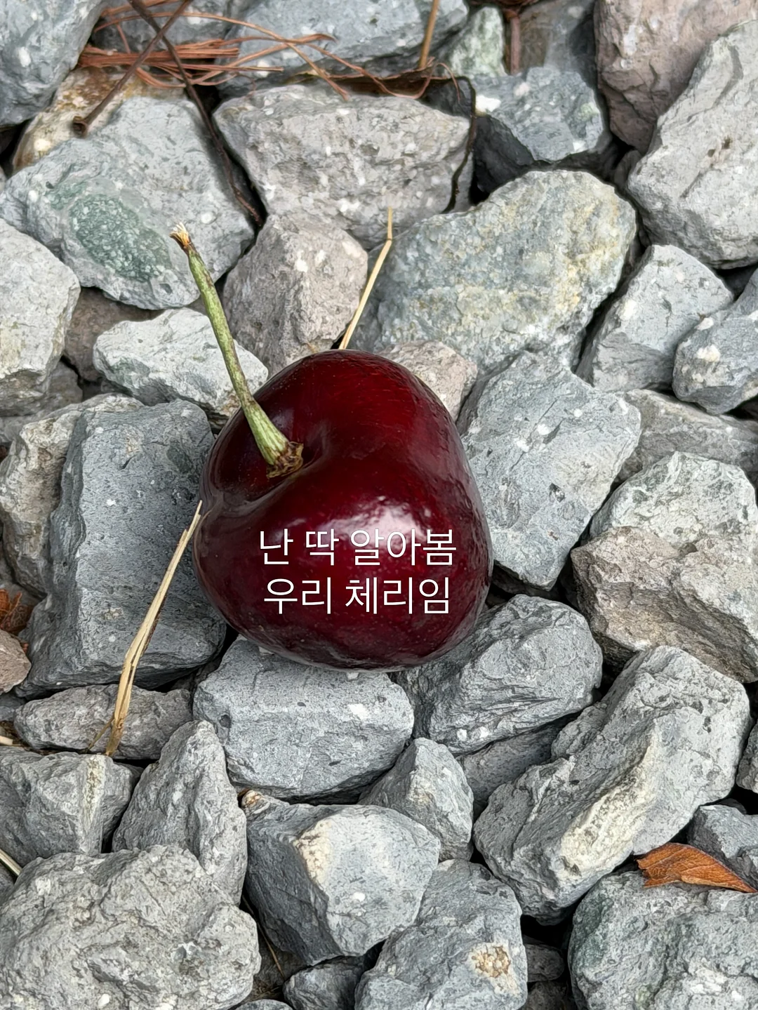 3CE 구미 오일 틴트 13