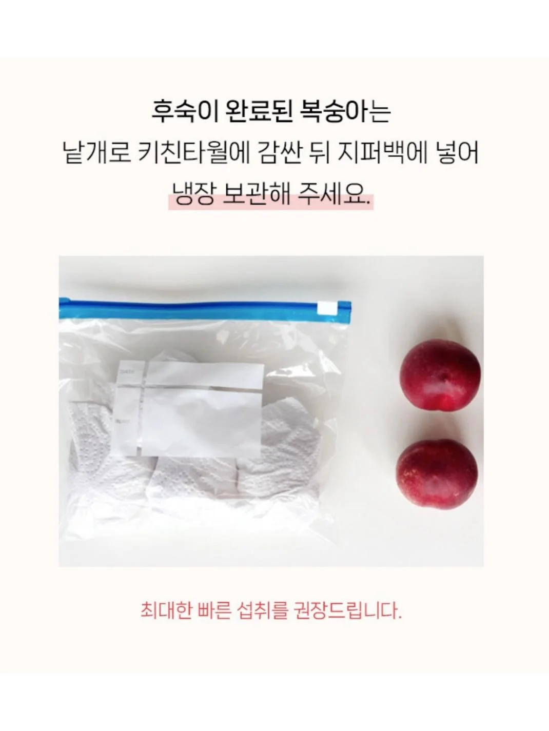 비비드아이 하트포켓 반팔티 11