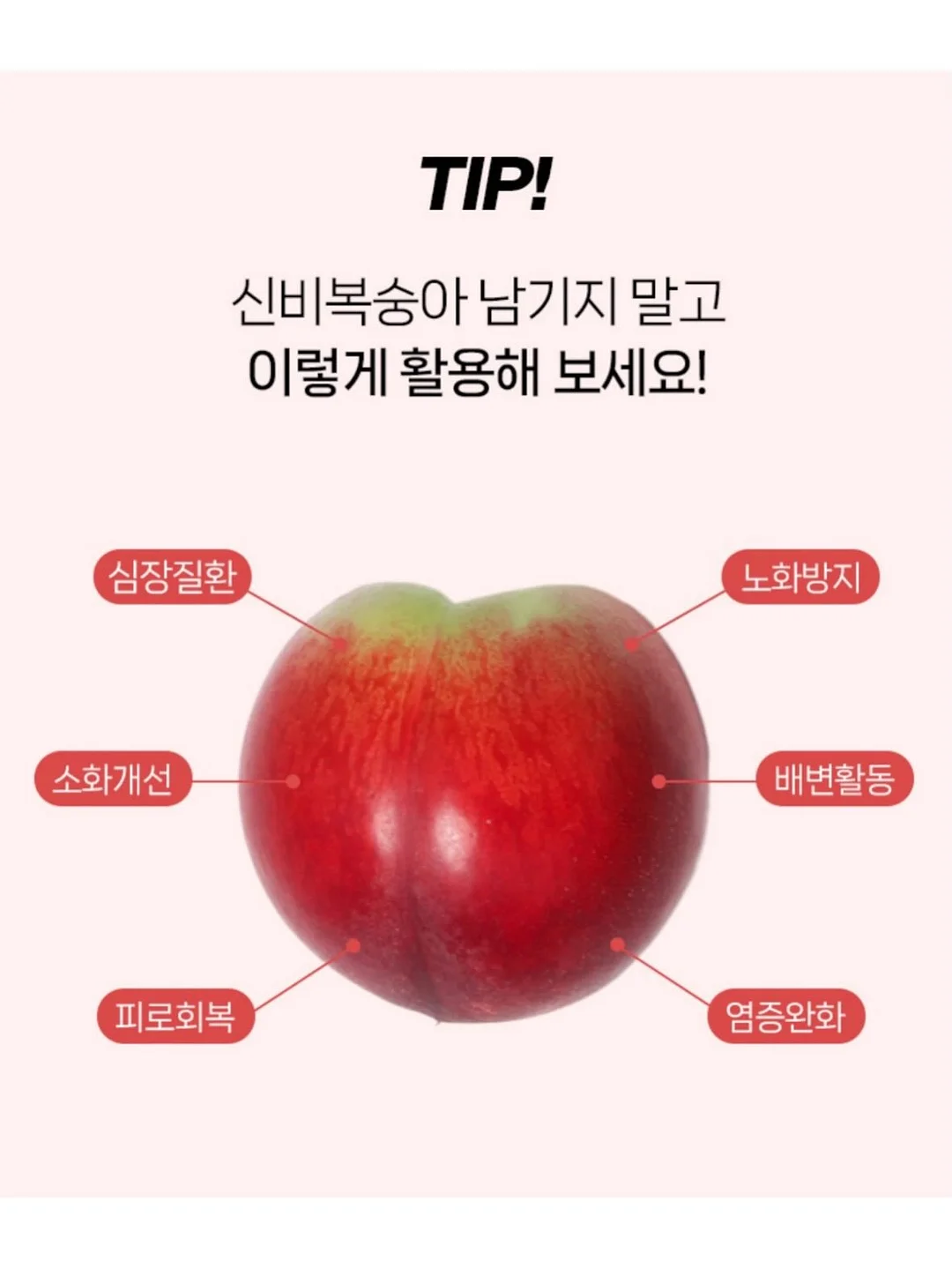비비드아이 하트포켓 반팔티 12