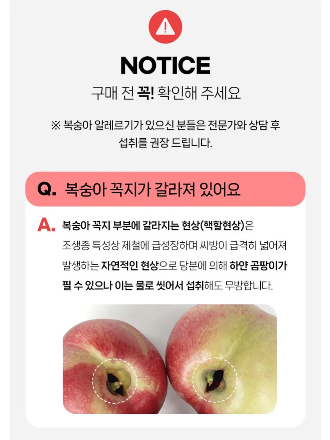비비드아이 하트포켓 반팔티 15