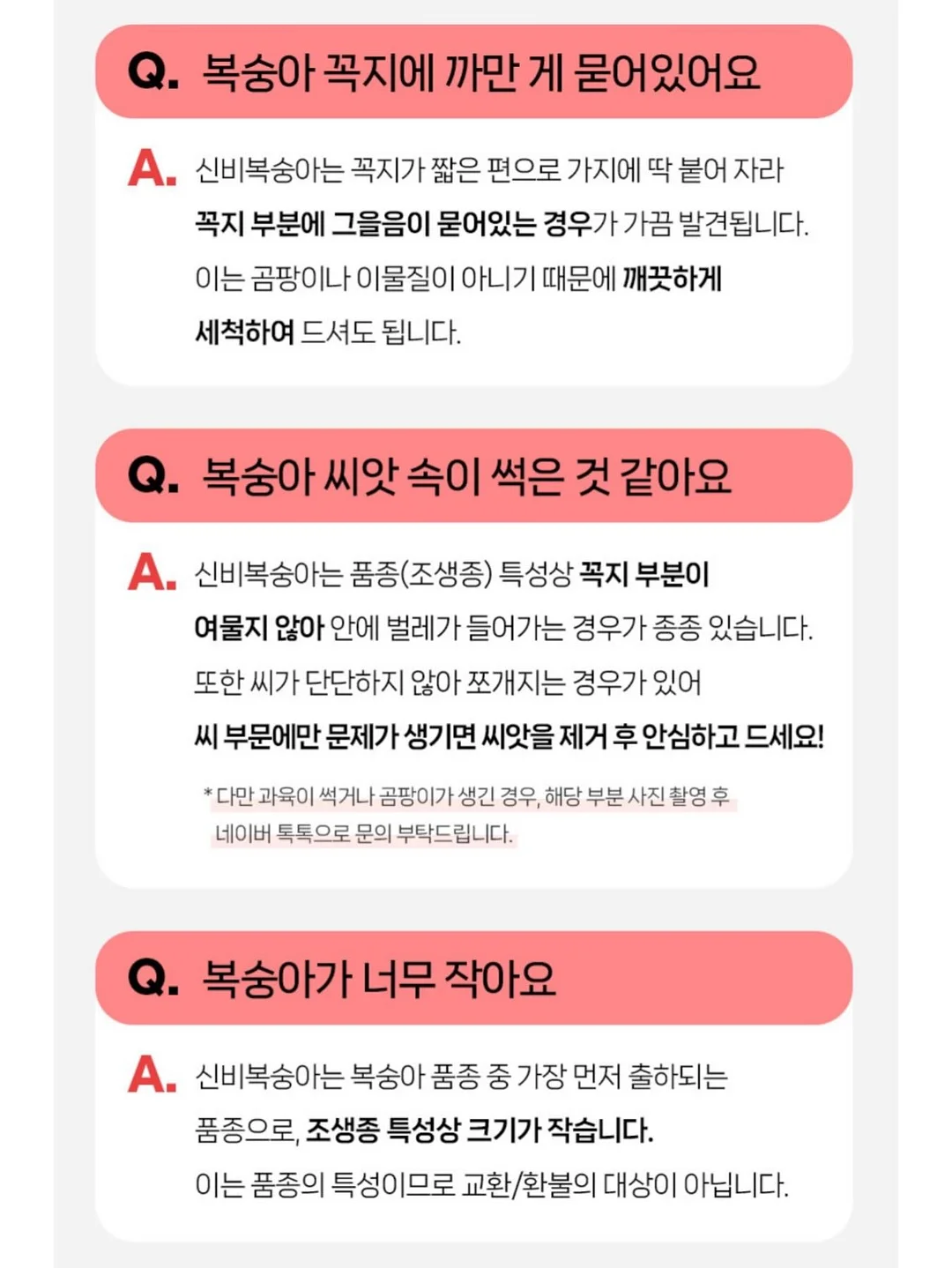비비드아이 하트포켓 반팔티 16