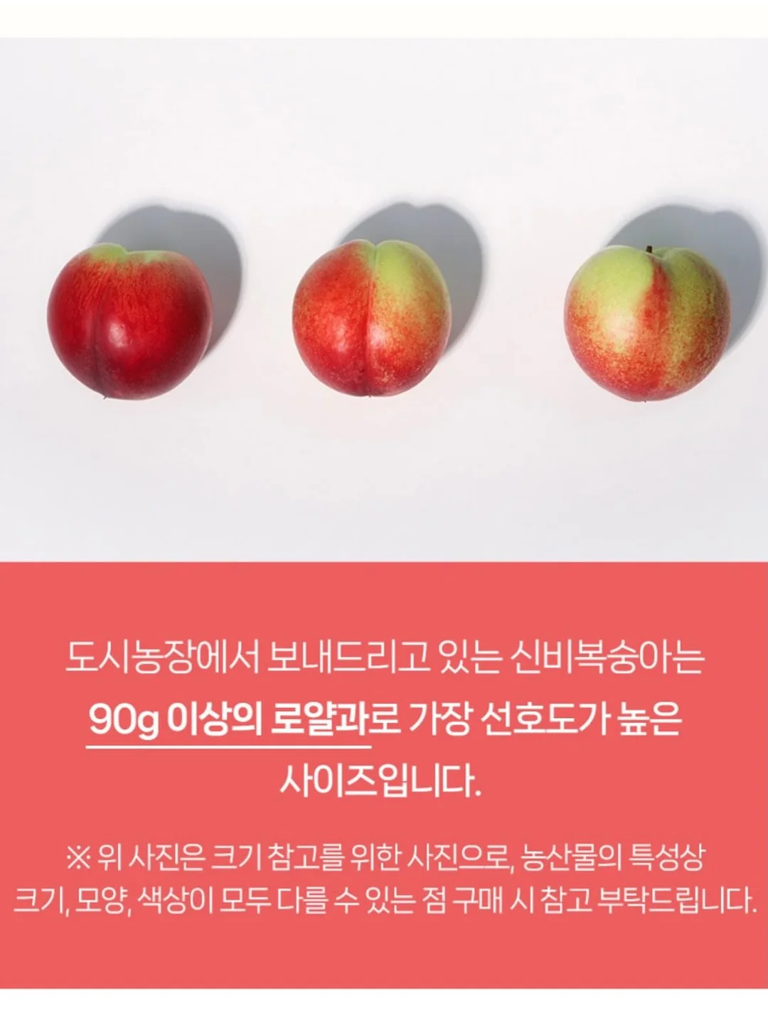 비비드아이 하트포켓 반팔티 4