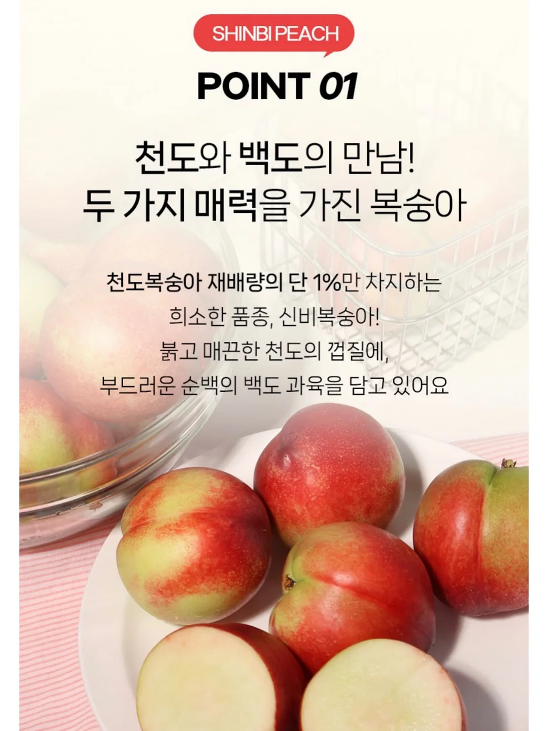 비비드아이 하트포켓 반팔티 5