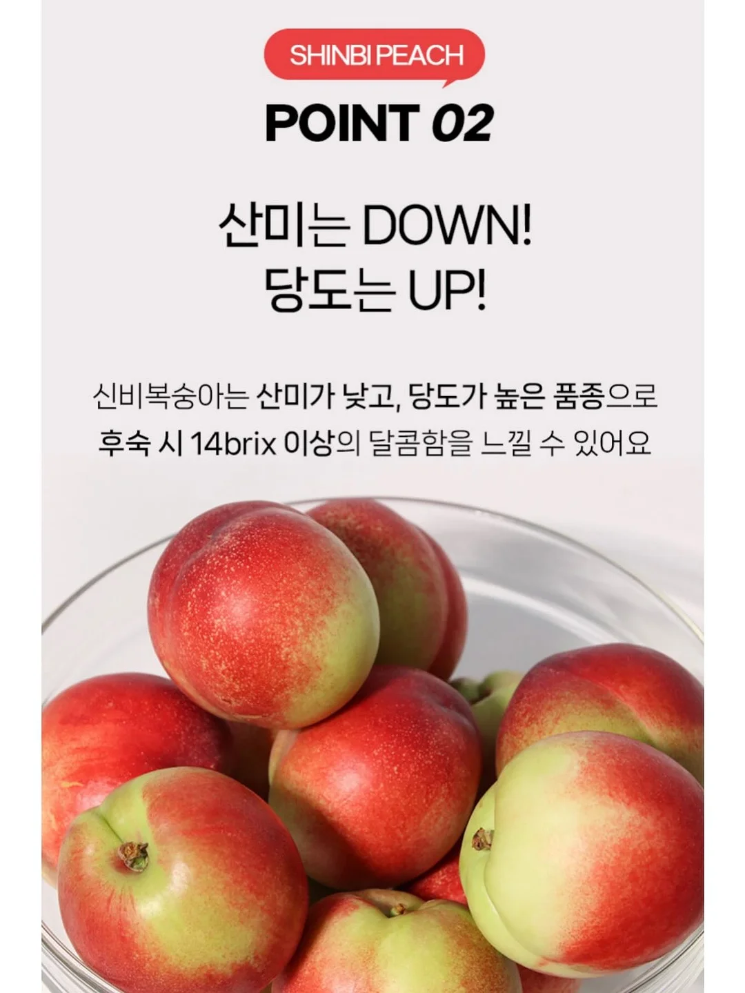 비비드아이 하트포켓 반팔티 6
