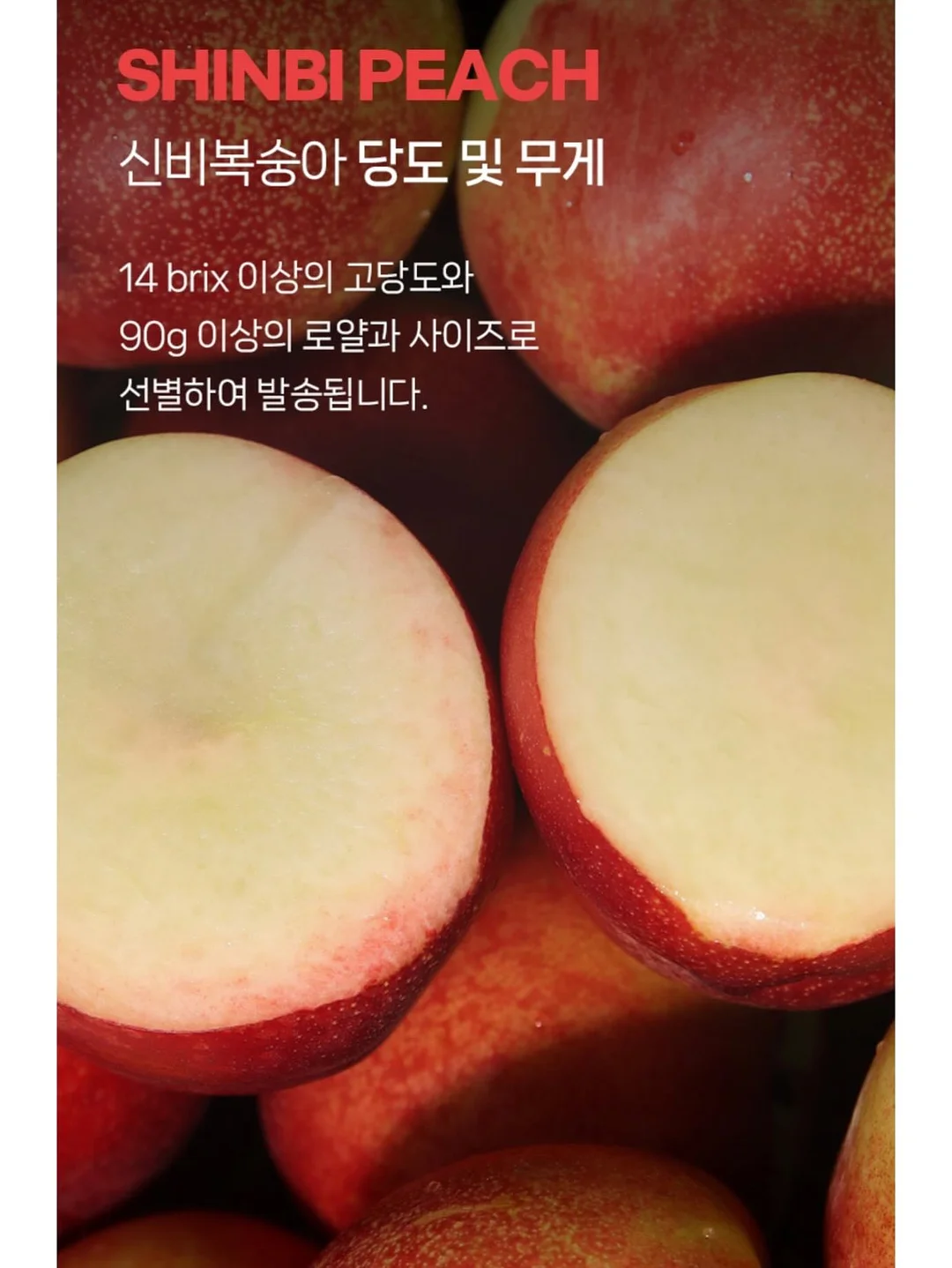 비비드아이 하트포켓 반팔티 8