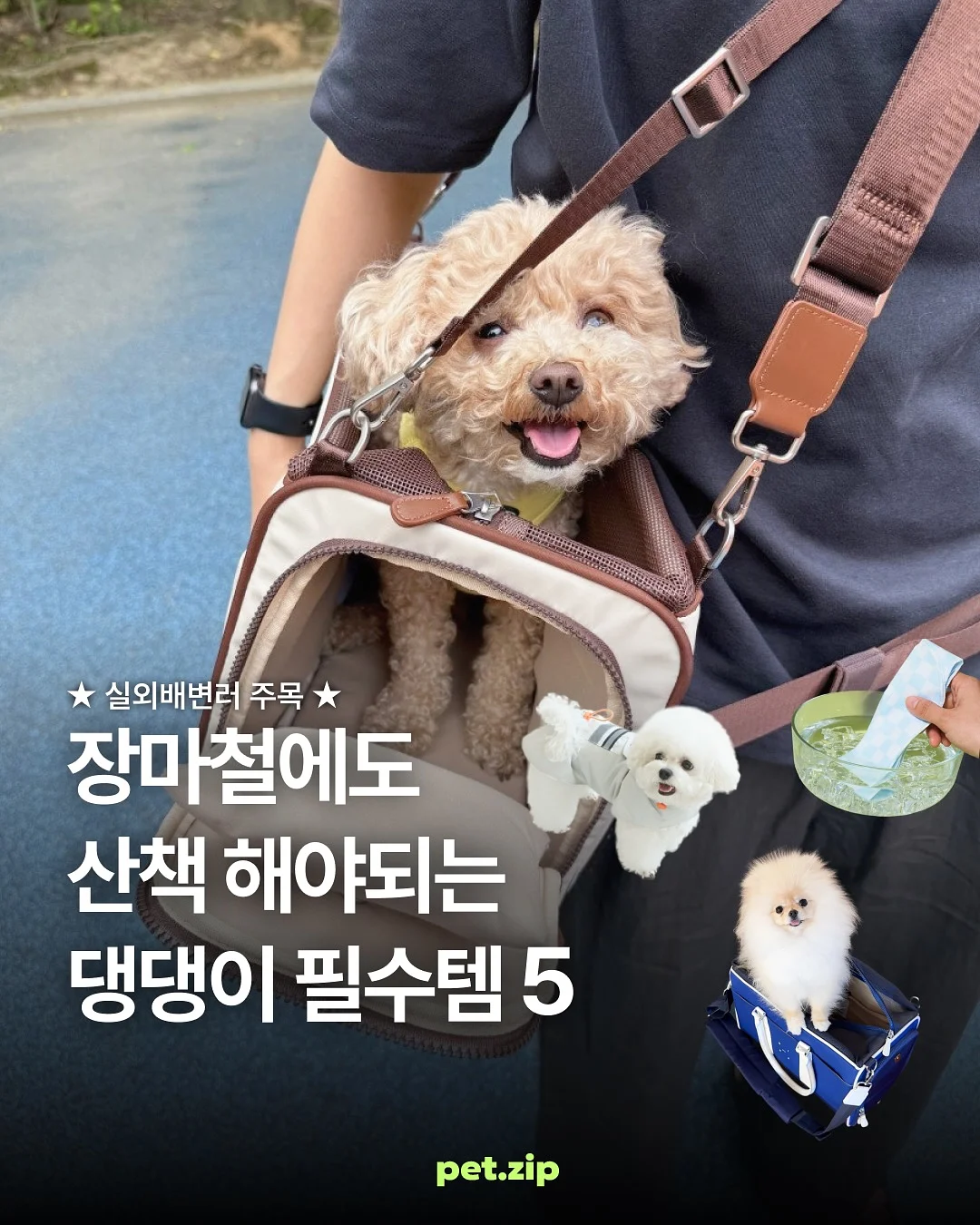메르시 케이크 수강 1