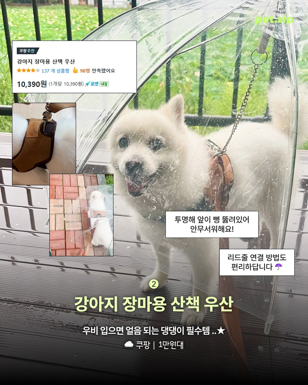 메르시 케이크 수강 3