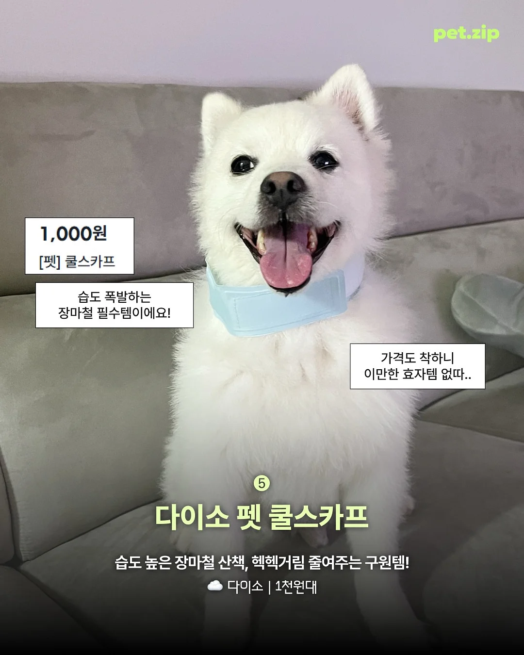 메르시 케이크 수강 6