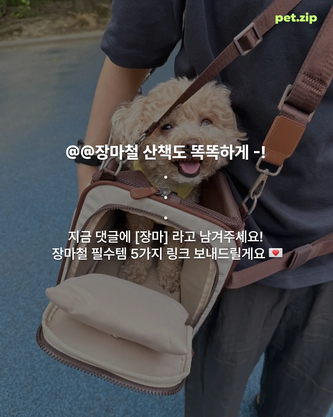 메르시 케이크 수강 7
