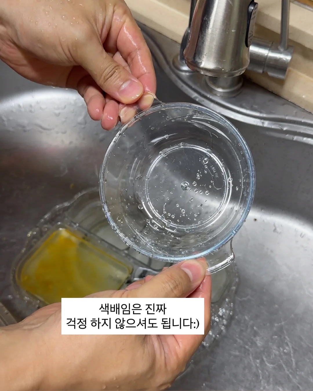 완도 전복 11