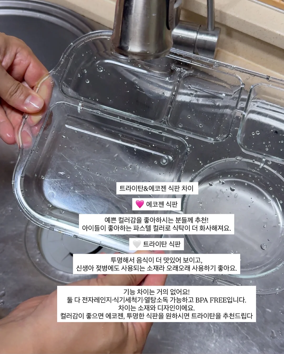 완도 전복 12