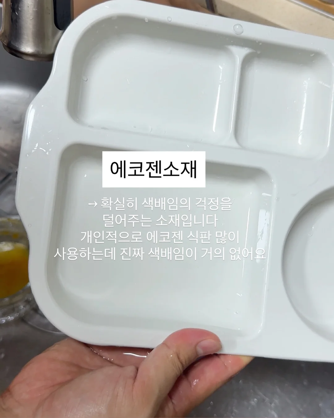 완도 전복 6