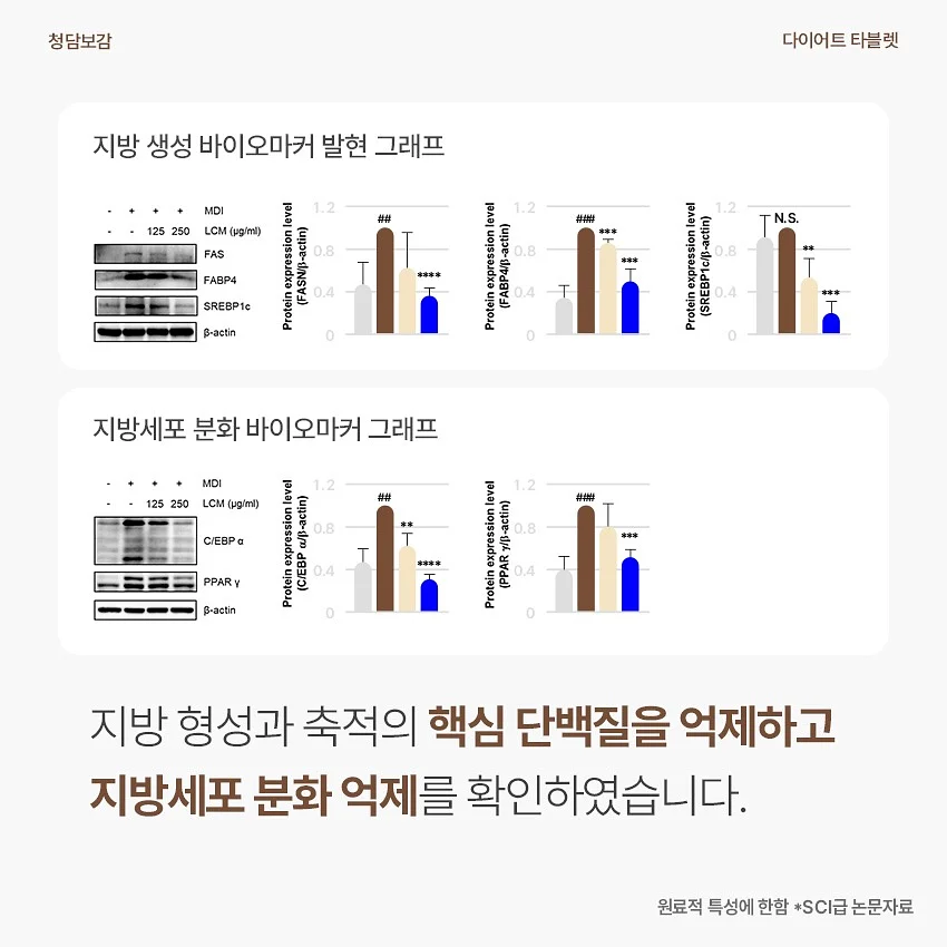 니트 셋업 12