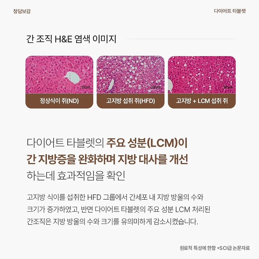 니트 셋업 16