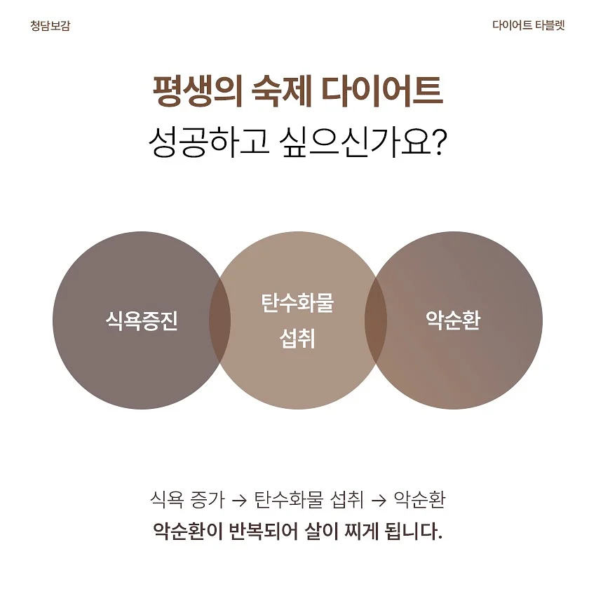 니트 셋업 4